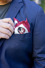 Load image into Gallery viewer, Florida State Seminoles Pocket Scarf