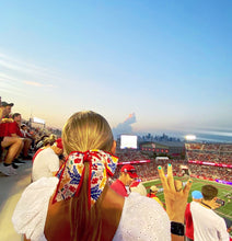 Load image into Gallery viewer, Houston Cougars Skinny Scarf
