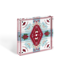 Load image into Gallery viewer, Arkansas Razorbacks Acrylic Block Scarf Art