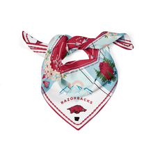 Load image into Gallery viewer, Arkansas Razorbacks Saturday Scarf™