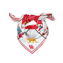 Load image into Gallery viewer, Houston Cougars Saturday Scarf™