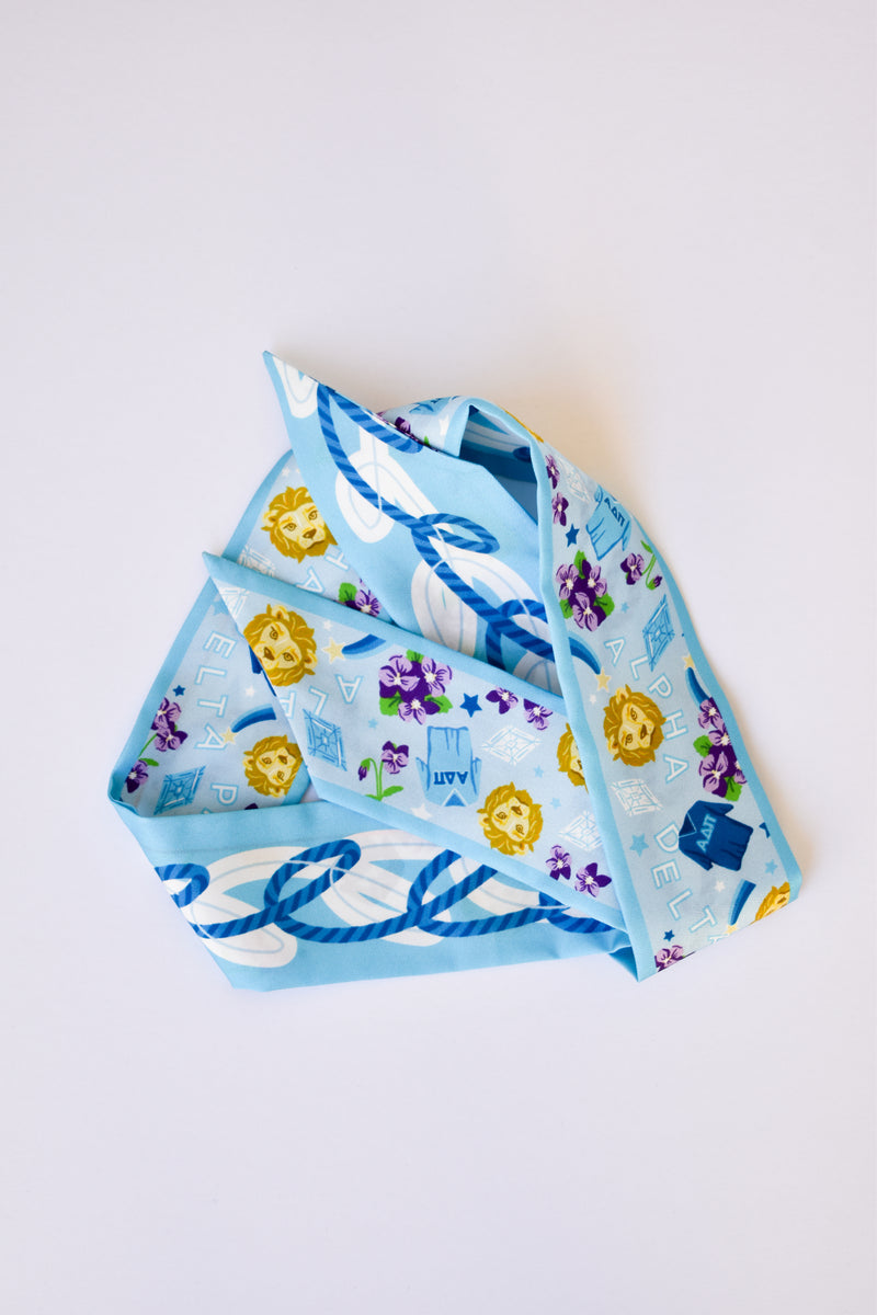 Alpha Delta Pi Skinny Scarf – Saturday Silks