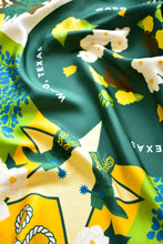 Load image into Gallery viewer, Waco Saturday Scarf™