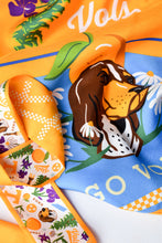 Load image into Gallery viewer, Tennessee Vols Skinny Scarf