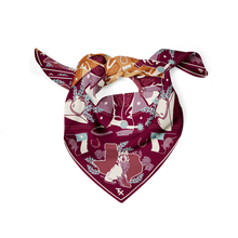 Load image into Gallery viewer, Austin v. College Station House Divided Saturday Scarf™