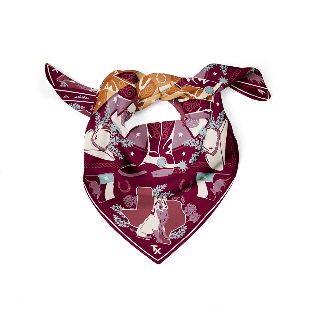 Austin V College Station House Divided Saturday Scarf Saturday Silks austin-v-college-station-house-divided-saturday-scarf-saturday-silks