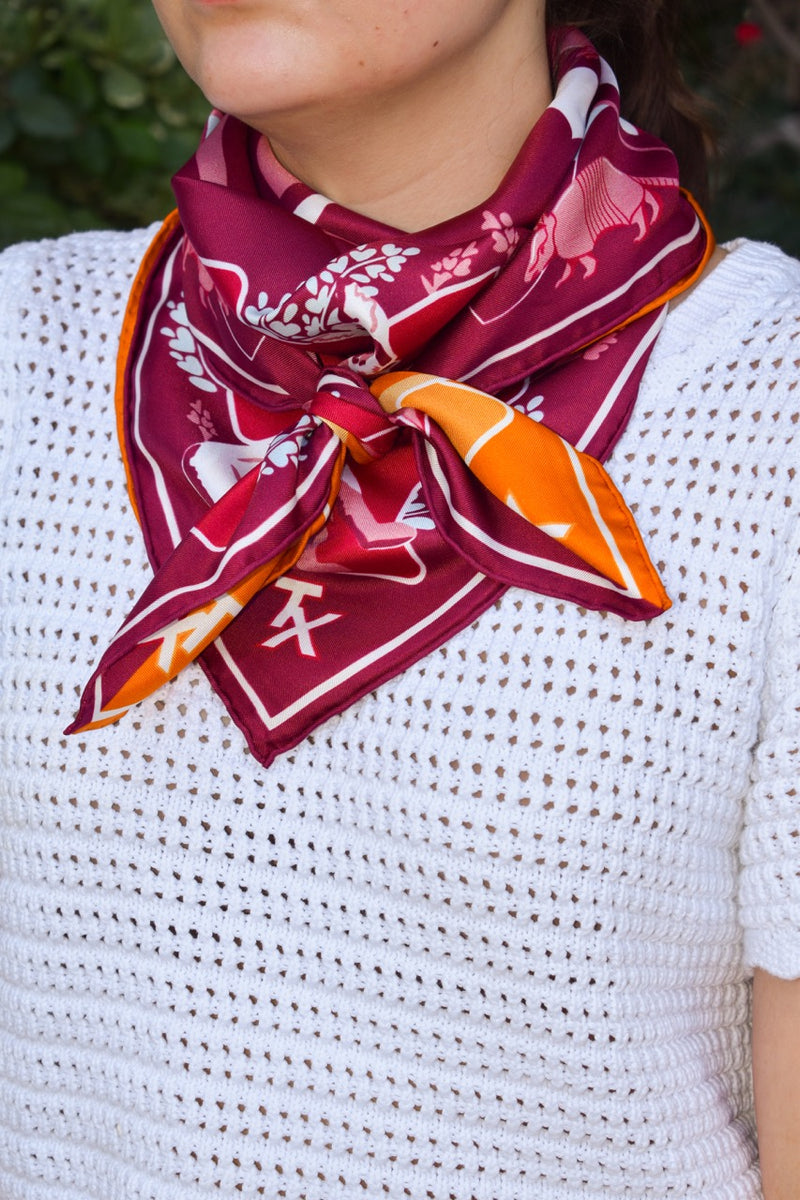 Austin v. College Station House Divided Saturday Scarf™ – Saturday