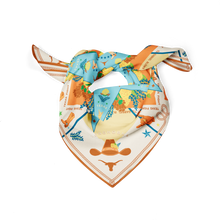 Load image into Gallery viewer, Texas Longhorns Saturday Scarf™