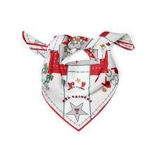Load image into Gallery viewer, Texas Tech Red Raiders Saturday Scarf™