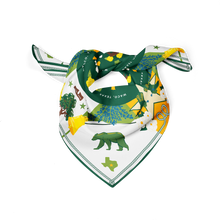 Load image into Gallery viewer, Waco Saturday Scarf™