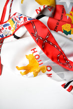 Load image into Gallery viewer, Houston Cougars Saturday Scarf™