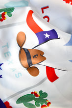 Load image into Gallery viewer, Lone Star State Saturday Scarf™