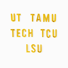 Load image into Gallery viewer, Alphabet Skinny Scarf Slider
