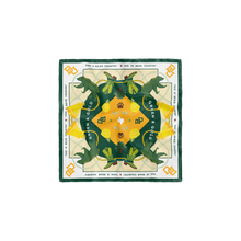 Load image into Gallery viewer, Baylor Bears Pocket Scarf

