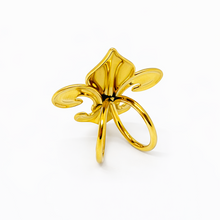 Load image into Gallery viewer, Fleur-de-lis Saturday Scarf™ Ring
