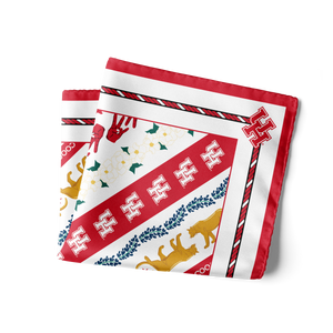 Houston Cougars Pocket Square