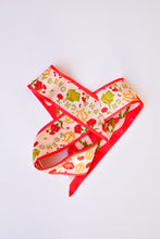 Load image into Gallery viewer, Alpha Chi Omega Skinny Scarf
