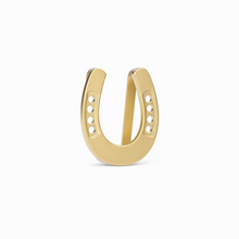 Load image into Gallery viewer, Lucky Horseshoe Skinny Scarf Slider
