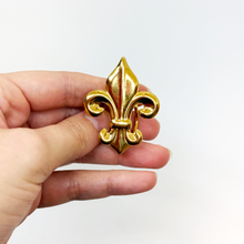 Load image into Gallery viewer, Fleur-de-lis Saturday Scarf™ Ring
