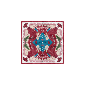 Arkansas Razorbacks Pocket Scarf