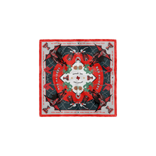 Load image into Gallery viewer, Texas Tech Red Raiders Pocket Scarf
