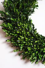 Load image into Gallery viewer, Naturally Preserved Green Boxwood Wreath
