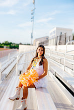 Load image into Gallery viewer, Texas Longhorns Skinny Scarf
