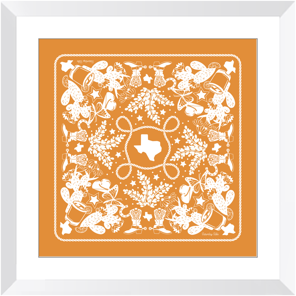Texas Sun Framed Print Art - Indian Paintbrush