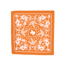 Load image into Gallery viewer, Texas Sun Embroidered Bandana

