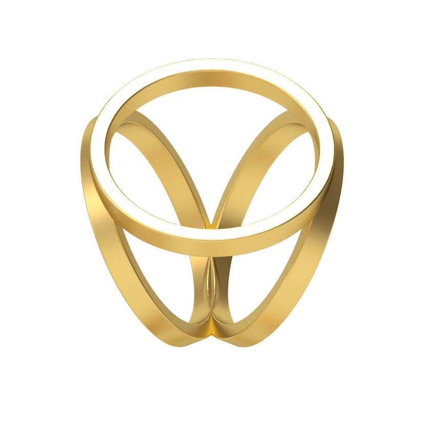 Golden Twist Twilly Ring – Saturday Silks