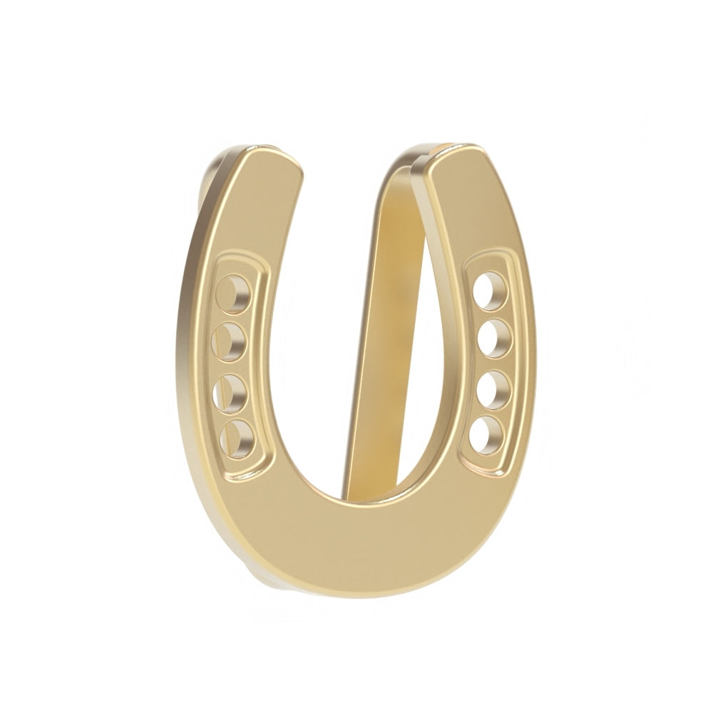Lucky Horseshoe Skinny Scarf Slider